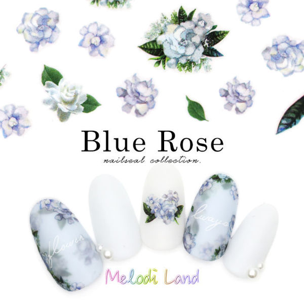 Picture of Blue-Rose-藍玫瑰