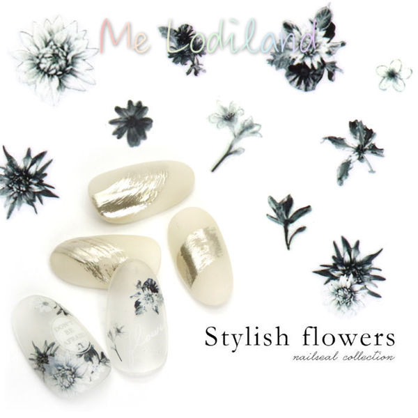 Picture of 冷豔花魁 Stylish Flowers